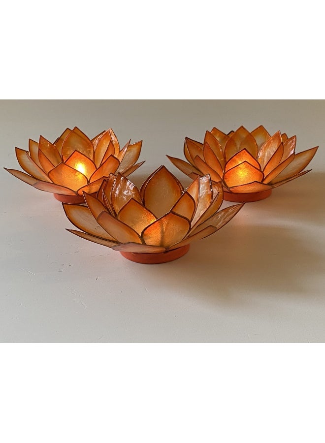 Lotus Tea Light Mango  - Image 1