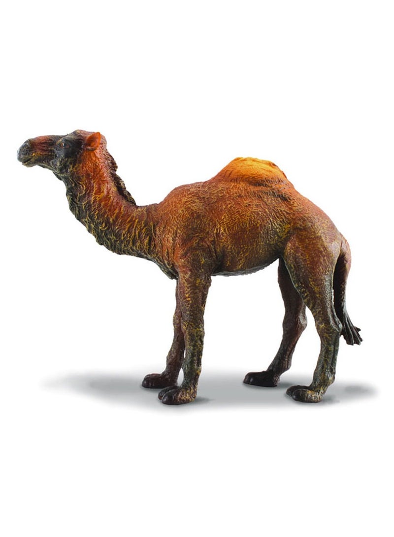 Collecta - Dromedary Camel - 88208