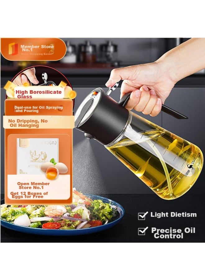 SSGP Sanli Steel Oil Sprayer, Kitchen Household Oil Bottle, Air Fryer Oil Sprayer, Atomizing And Pouring Dual-use Oil Sprayer, No. 1 Member Store - Image 1