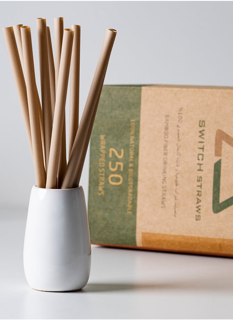 Switch - SWITCH BAMBOO FIBER DRINKING STRAW - Image 1