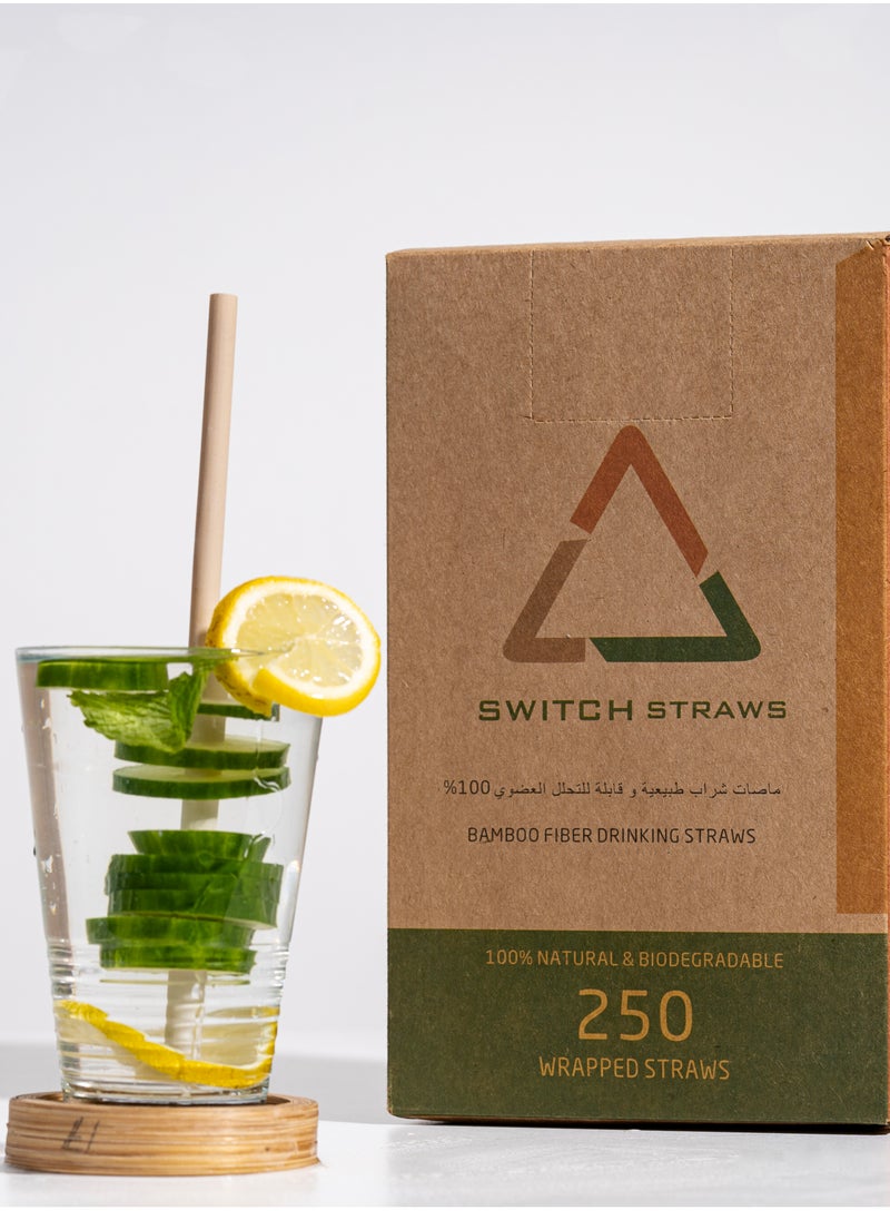Switch - SWITCH BAMBOO FIBER DRINKING STRAW - Image 1