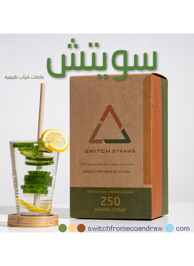 Switch - SWITCH BAMBOO FIBER DRINKING STRAW - Image 1