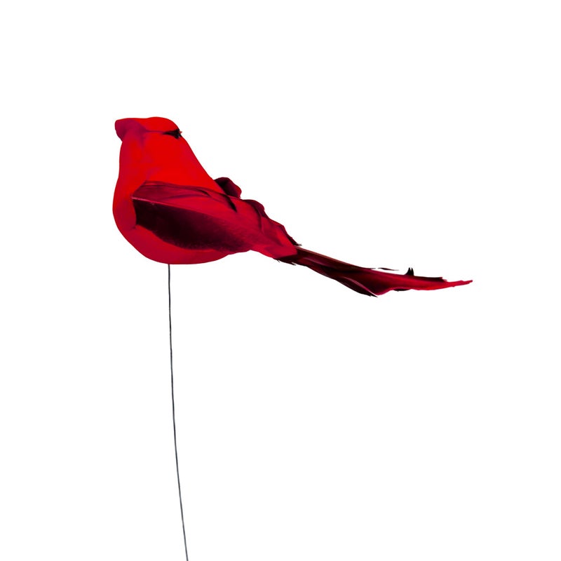 Berfutall -Cardinal Wire على زينة زخرفة شجرة عيد الميلاد - ريش أحمر من 12 قطعة لكل منها 5.90 "" LON (E) - Image 5