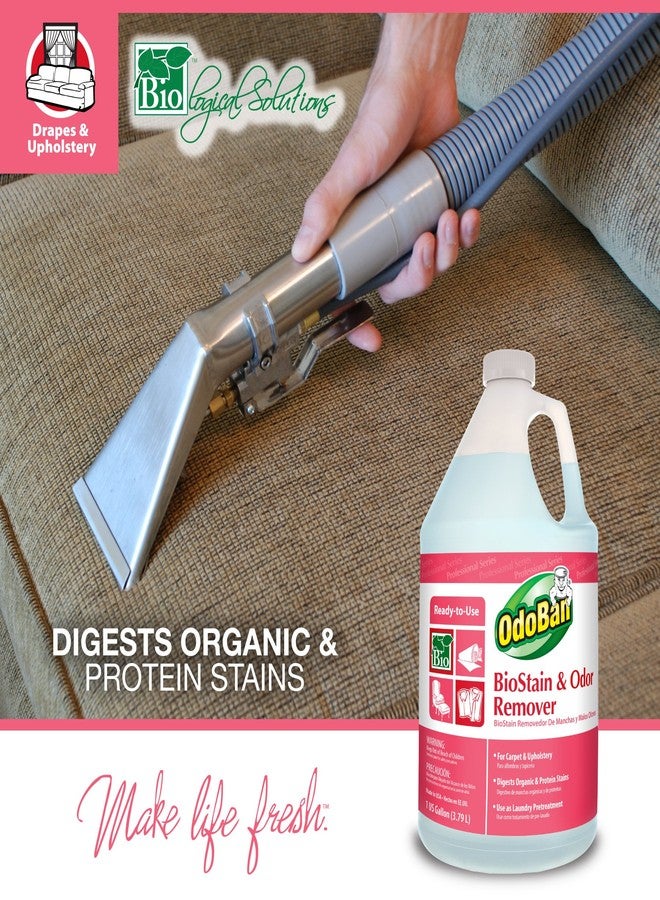 OdoBan Professional Cleaning and Odor Control Solutions, Ready-to-Use Biostain and Odor Remover, Made in the USA, 2 Gallons - Image 5