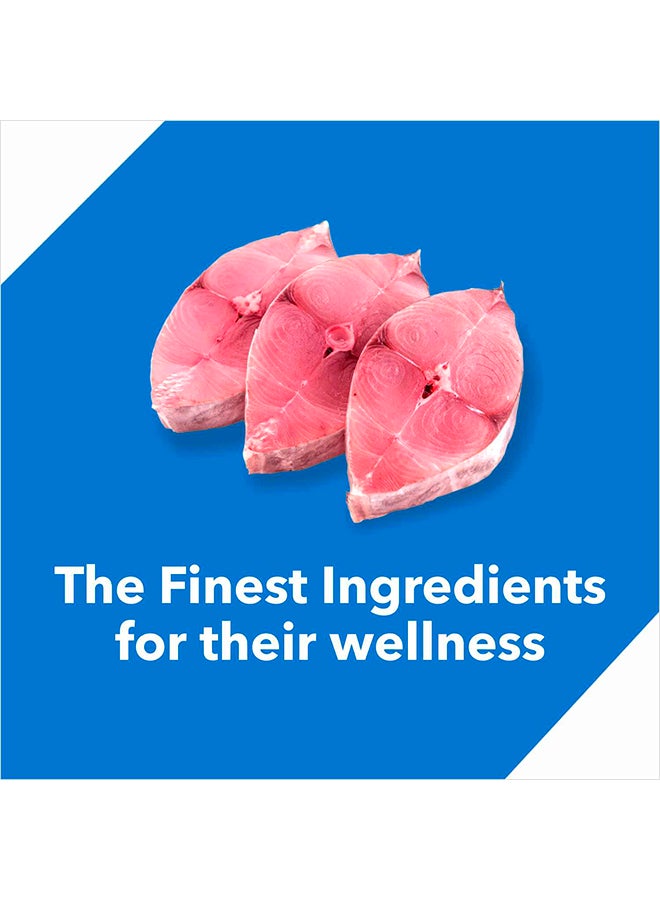 Drools Adult Dry Cat Food  Real Mackerel 3Kg - Image 3