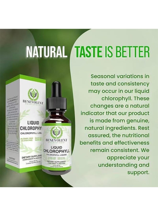 BENEVOLENT NOURISHMENT Organic Liquid Chlorophyll 2 ounce, Vegan Chlorophyll Liquid Drops, Body Deodorant And Gut Support Healthcare Liver, Digestion And Immune System, Natural Mint Flavor  - Image 5