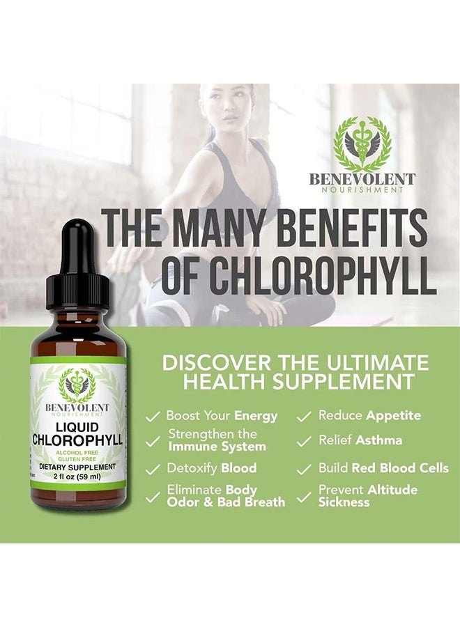 BENEVOLENT NOURISHMENT Organic Liquid Chlorophyll 2 ounce, Vegan Chlorophyll Liquid Drops, Body Deodorant And Gut Support Healthcare Liver, Digestion And Immune System, Natural Mint Flavor  - Image 2