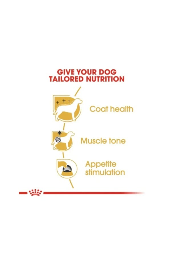 Royal Canin Breed Health Nutrition Poodle Adult Dog Wet Food - 85g - Image 3