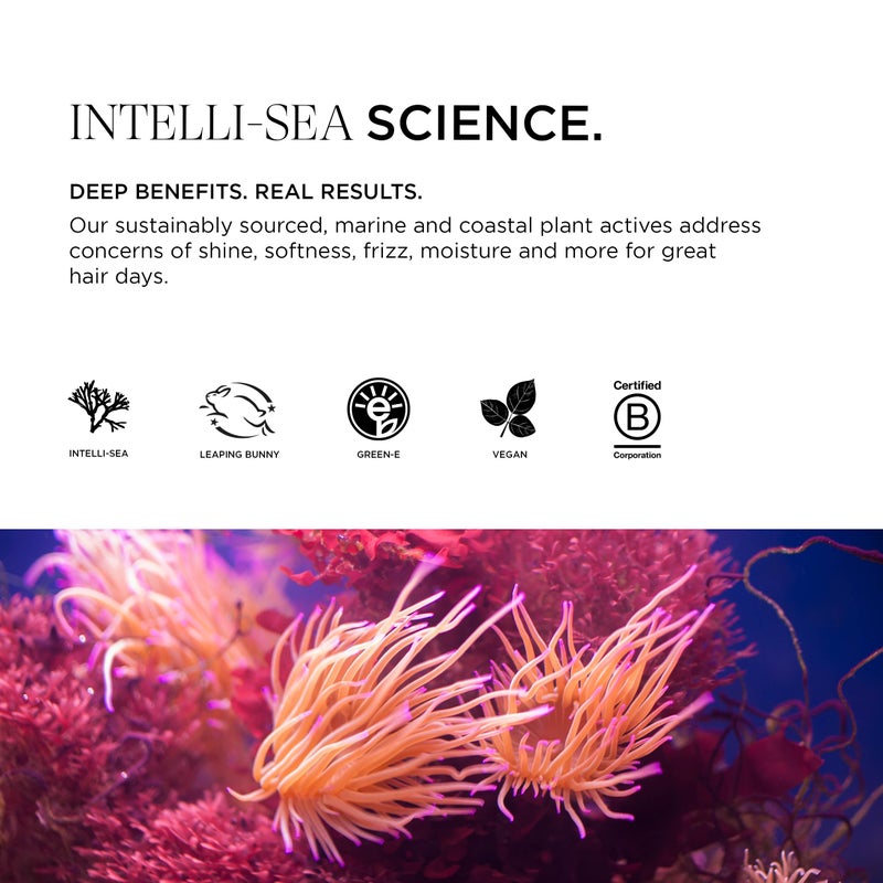 Intelligent Nutrients Amplifi-hair Micellar Shampoo, Plant-Powered Volumizing Shampoo for Fine Hair, Vegan Formula, 32 Oz - Image 5