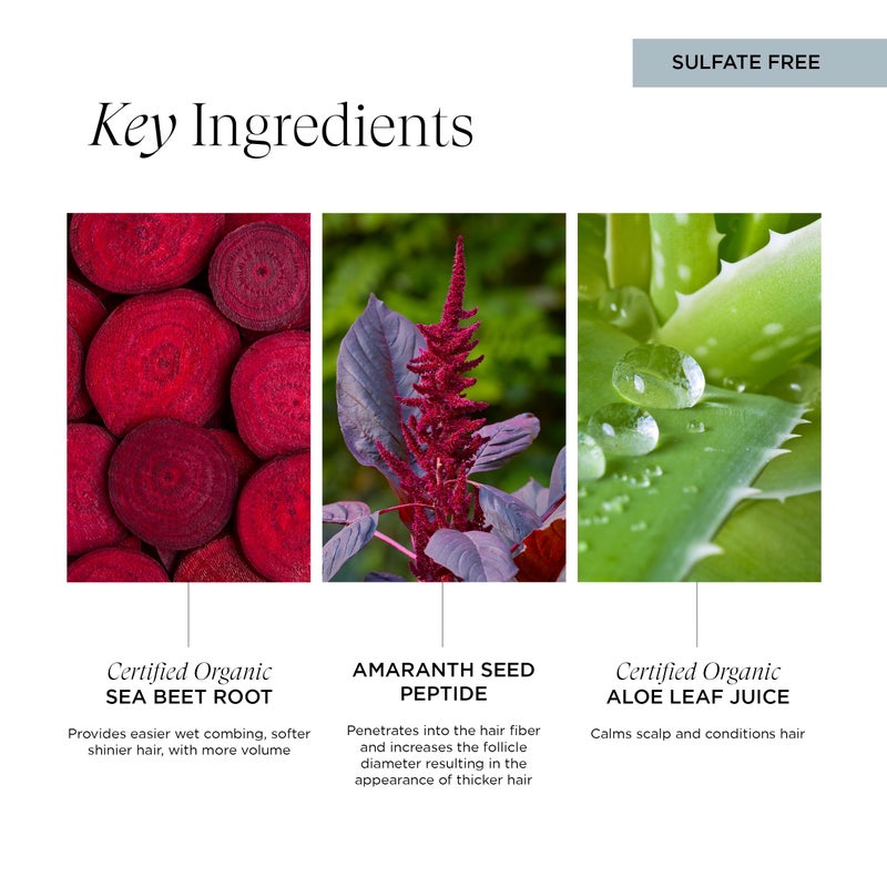 Intelligent Nutrients Amplifi-hair Micellar Shampoo, Plant-Powered Volumizing Shampoo for Fine Hair, Vegan Formula, 32 Oz - Image 4