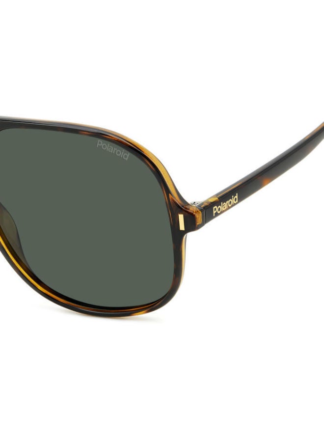 Polaroid Full Rim Aviator Sunglasses 20671908657UC - Image 2