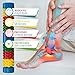 Foot Log Foot Roller Massager Plantar Fasciitis Neuropathy Pain and Circulation Heel Spur Pain Relief Foot Reflexology Relaxation Gifts for Women and Men - Image 4