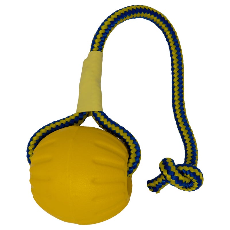 Starmark Swing 'n Fling DuraFoam Ball Dog Toy Medium - Image 1