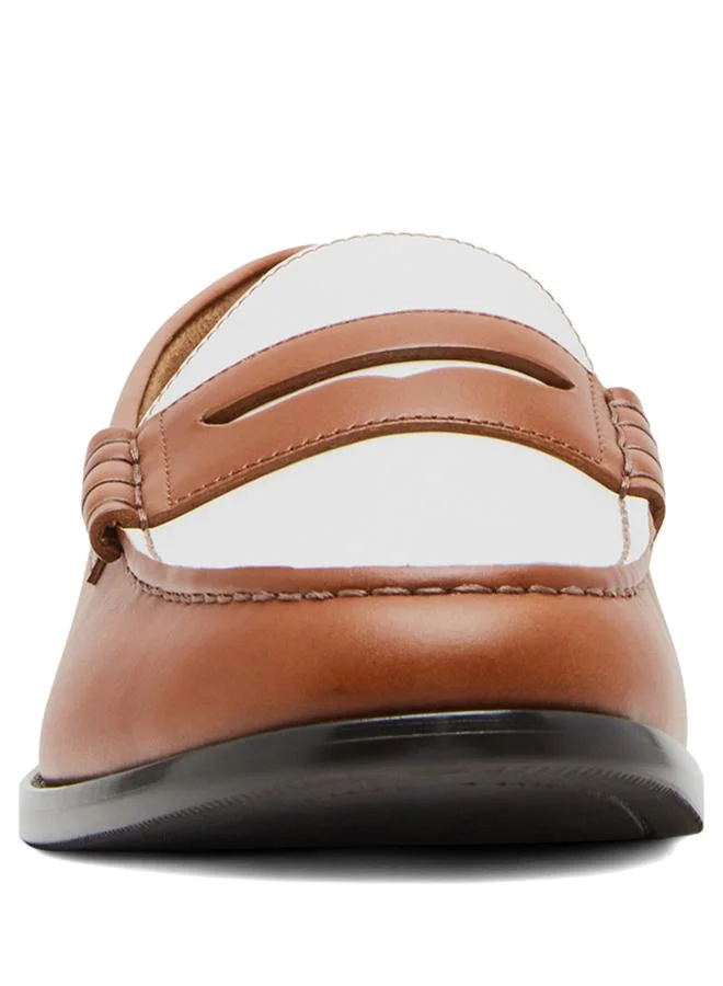 Steve Madden  Men's Tan Abbe Formal Lace-up Shoes for Men | Best Price UAE