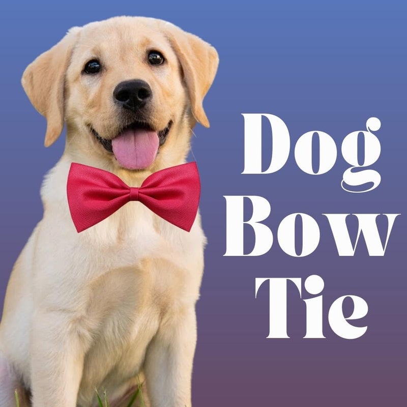 Sage Square Dog Bow Tie Red - Enhance Your Pet's Style with a Glamorous & Versatile Accessory - Adjustable Neck Bow Cum Necktie for Your pet- Medium to Large Size,Glamorous and Functional Accessories - Image 2