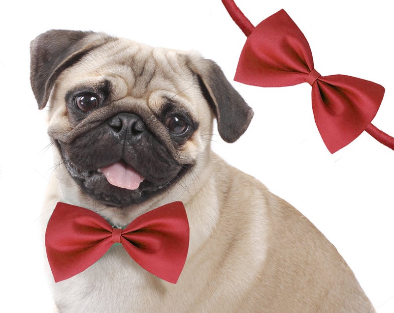 Sage Square Dog Bow Tie Red - Enhance Your Pet's Style with a Glamorous & Versatile Accessory - Adjustable Neck Bow Cum Necktie for Your pet- Medium to Large Size,Glamorous and Functional Accessories - Image 1