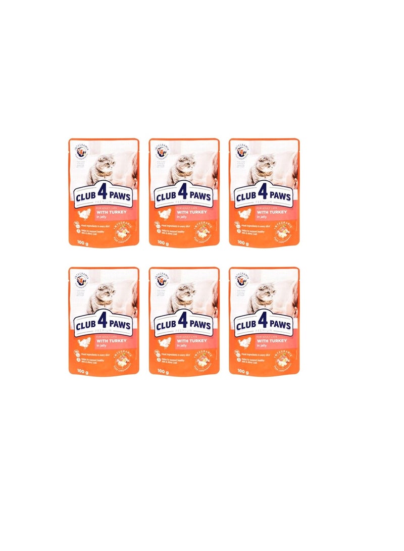 كلوب 4 بوز عرض كلوب فور باوز طعام رطب للقطط بالتركي 6 × 100 جم