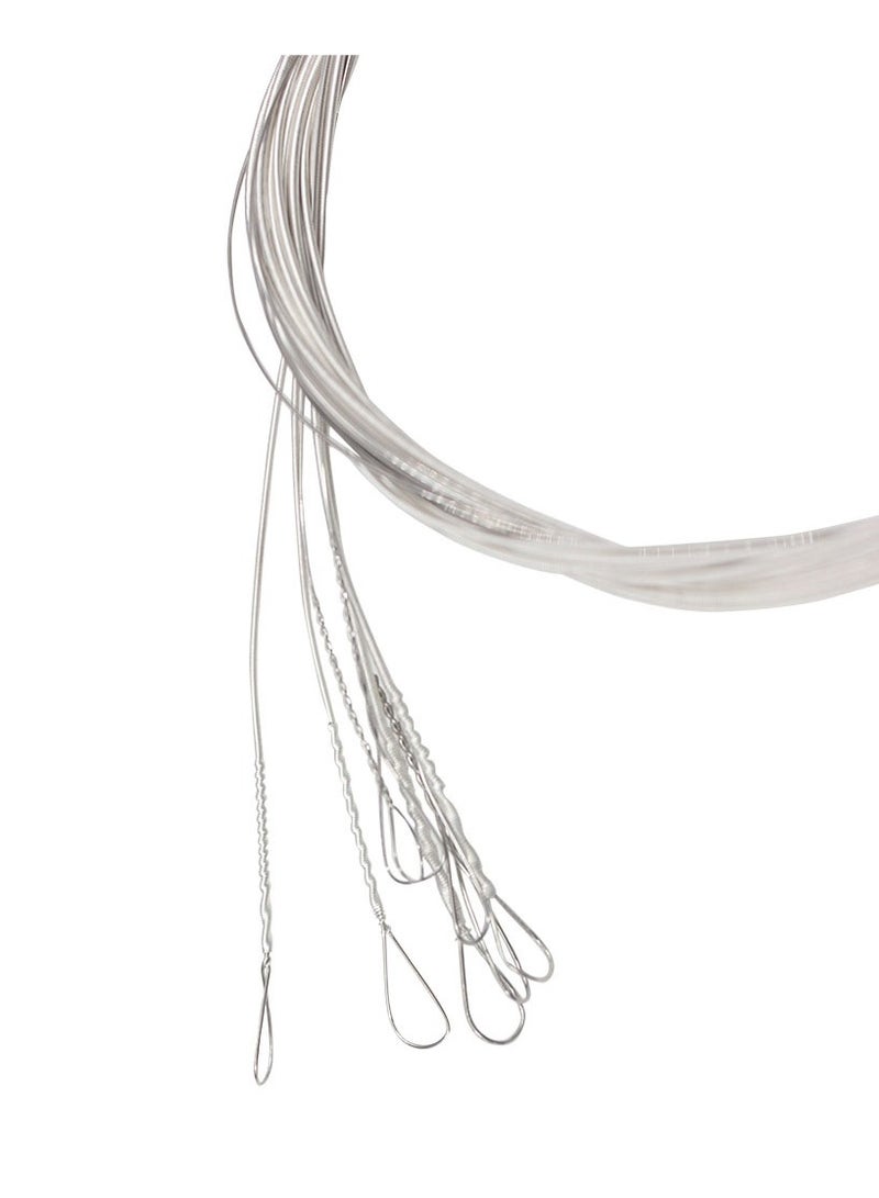 IRIN Mandolin String M100 Bronze Wrapped Eight String Mandolin Set of 8 Mandolin Strings - Image 2