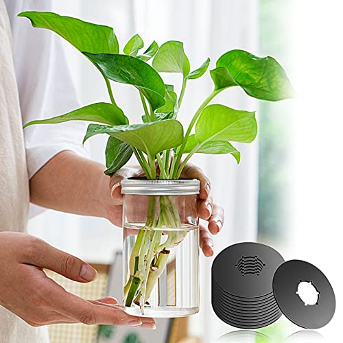 Emsiok 12PCS Kratky Lids Wide Mouth Hydroponic Cover Lids Kratky Mason Jar Lids Kratky Lid Insert Kratky Jar Cover Hydroponic Lids Kratky Hydroponics Supplies with Hole for Mason Jars Aerogardens Pods - Image 5