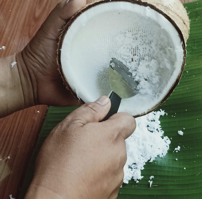 Plai Na Coconut Hand Grater Scraper Shredder Blade Meat Removal Tool Stainless Steel, Bottle Opener, Peeler - Image 3