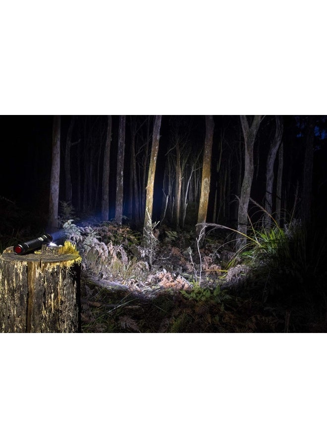 ARB ARB 10500070 Pure View 800 Lumens Flashlight  - Image 4