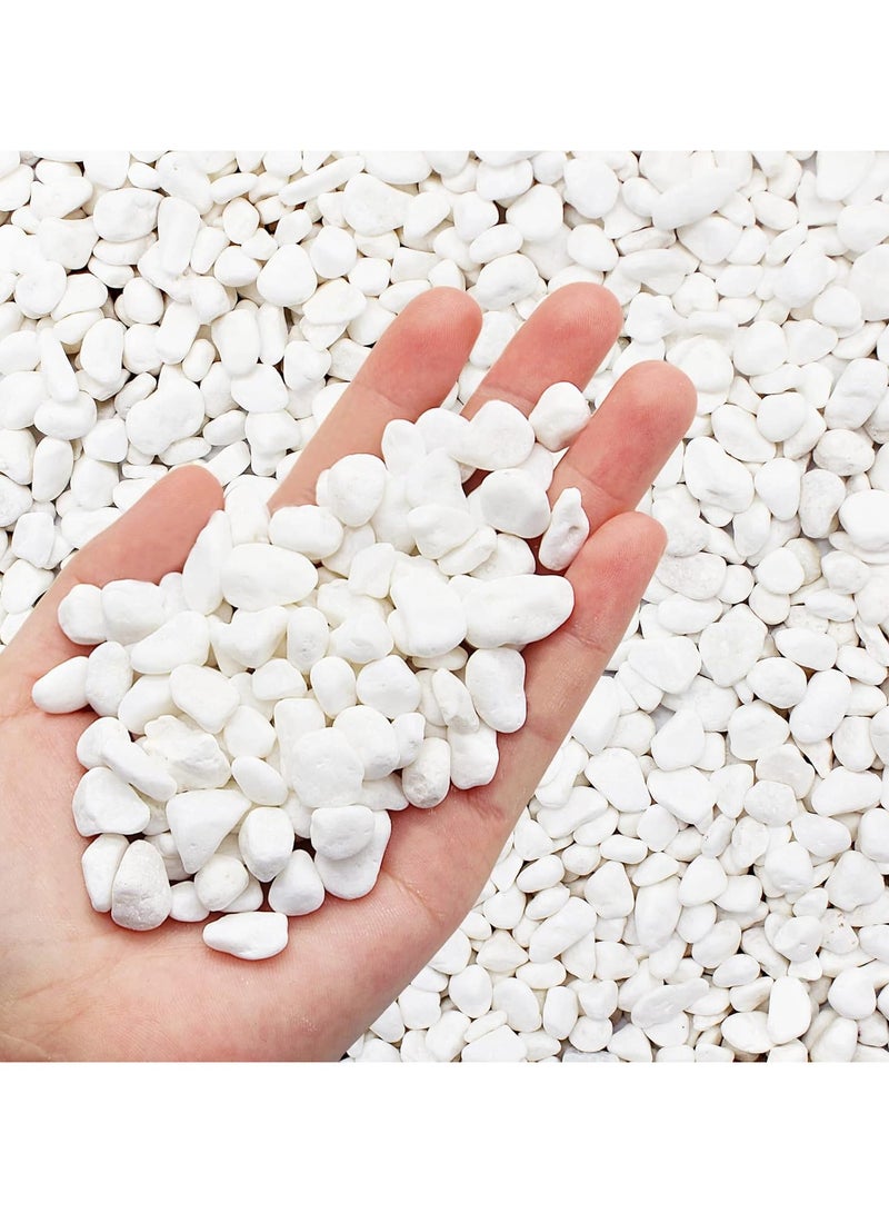 Home zone Unpolished White Pebbles for Plants Garden Vases 2.2 lb (1 KG) White Rocks Gravel Decorative Stone 1/2"  - Image 1
