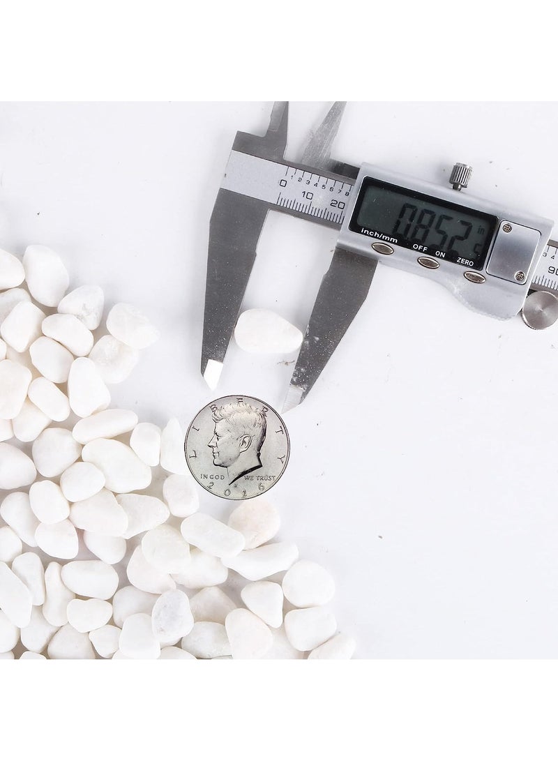 Home zone Unpolished White Pebbles for Plants Garden Vases 2.2 lb (1 KG) White Rocks Gravel Decorative Stone 1/2"  - Image 4