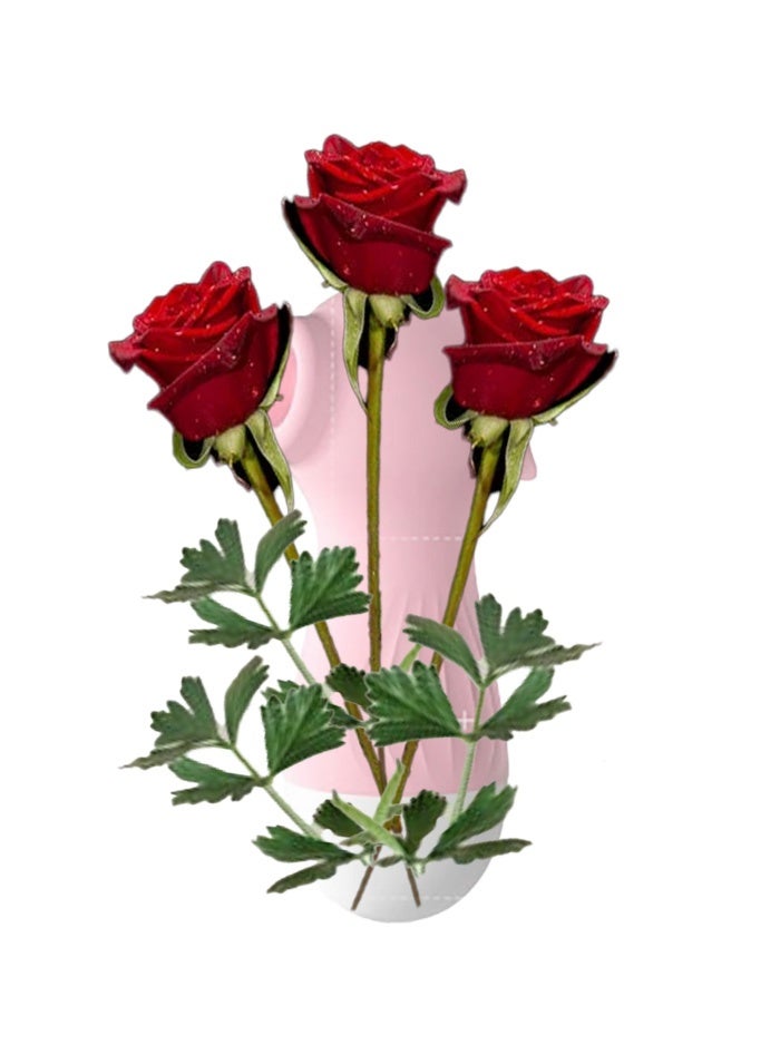 مزهرية زخرفية منزلية متينة