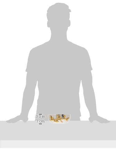 Elegance وعاء سلطة أنيق من الفولاذ المقاوم للصدأ مع تصميم كرمة ذهبية مطروقة 6.5 بوصة فضي/ذهبي (70031) - Image 2