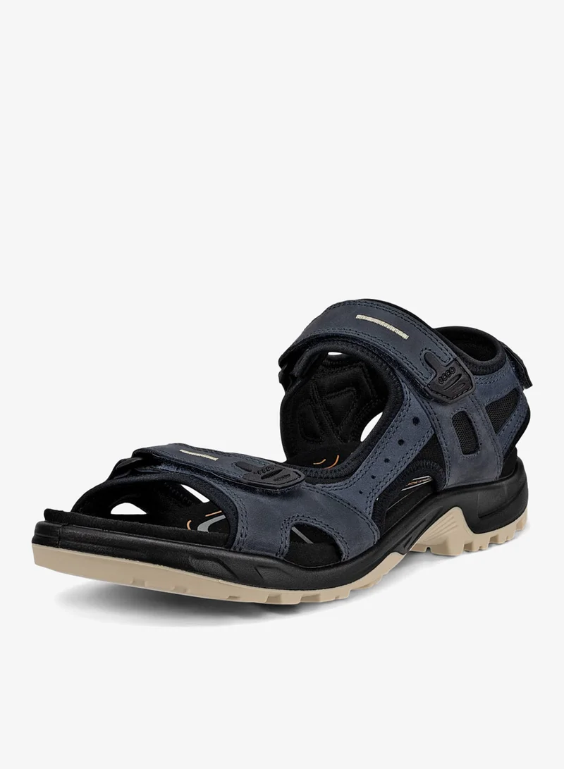 إيكو إيكو أوف رود أومبر