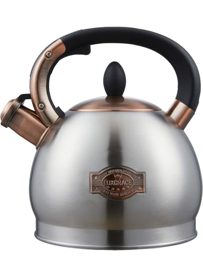Stainless Steel Tea Kettle with Encapsulated Metal Base for Heat Distribution Speed 2.8 Qt - Image 1