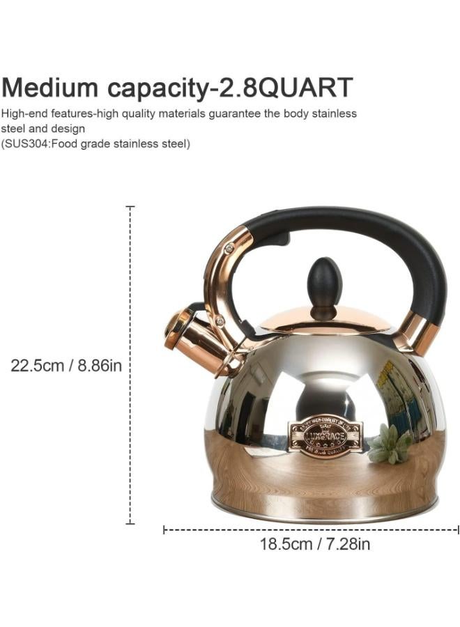 Stainless Steel Tea Kettle with Encapsulated Metal Base for Heat Distribution Speed 2.8 Qt - Image 3
