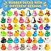 VISRIE 60 Pcs Rubber Ducks in Bulk Assortment Ducks for Jeeps Bulk Ducks for Toddler Bath Toys Kids Pool Toys Birthday Gifts Party Favors - Image 4