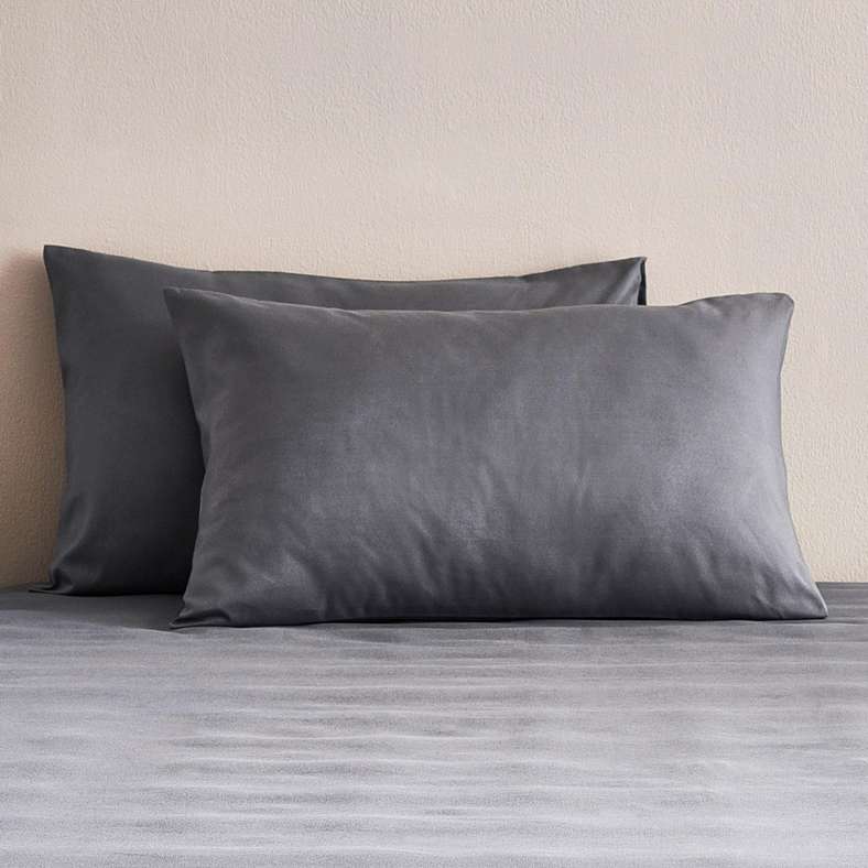 Pan Home Silver 2-Piece Pillowcase Set for All