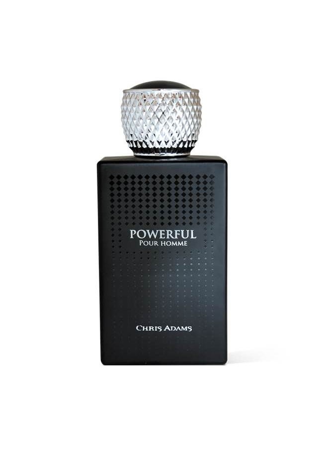 Chris Adams Chris Adams Powerful Eau De Parfum 100ML  - Image 2