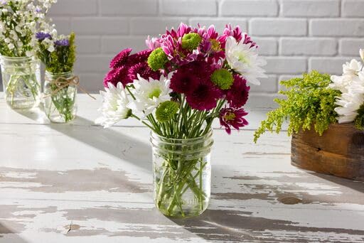 Ball Wide Mouth Glass Mason Jars with Lids and Bands, Used for Canning, Pickling, Juice, Jam, Jelly, Pint Size 16 Ounce (Pack of 3) - Image 3