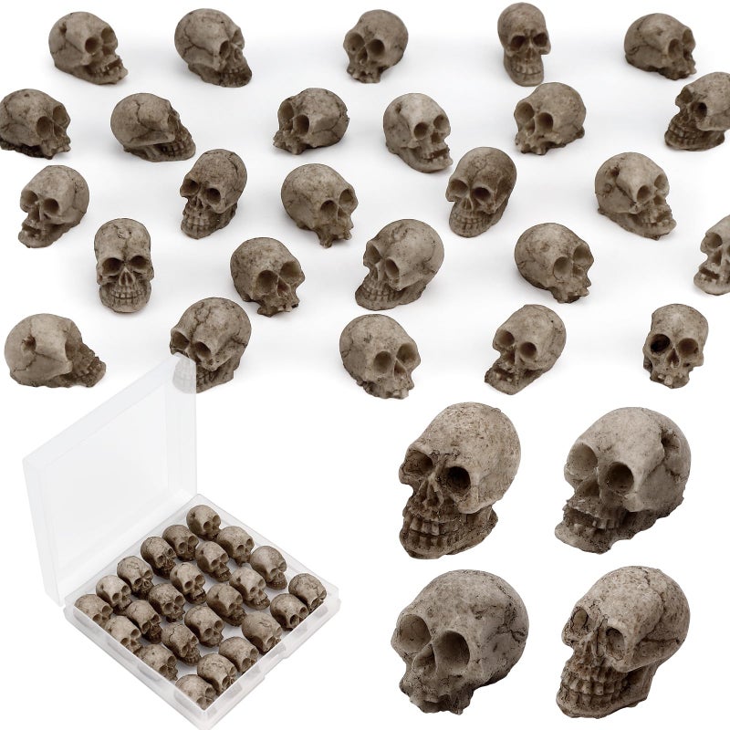 VICROIC 24 PCS Mini Skull Heads, Miniature Skeleton Heads Figurines, Tiny Resin Skulls for Crafts Halloween Party Micro Landscape Cake Topper Plants Outdoor Decoration - Image 1