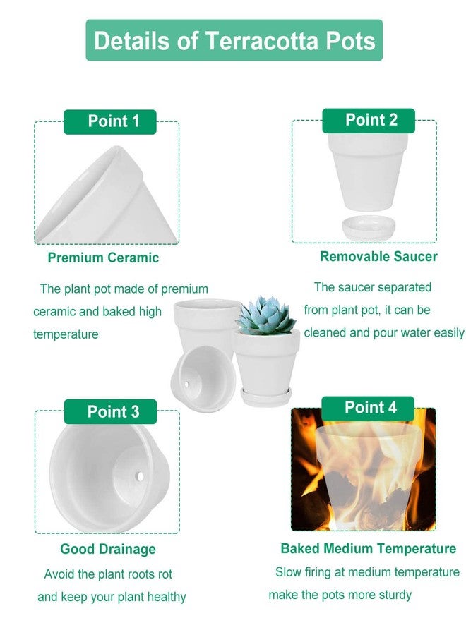 vensovo 4 Inch White Ceramic Pot for Plant with Saucer - 6 Pack Small Ceramic Plant Pot with Drainage Hole, Flower Pot with Tray, Succulent Pot for Indoor Outdoor Plant - Image 4
