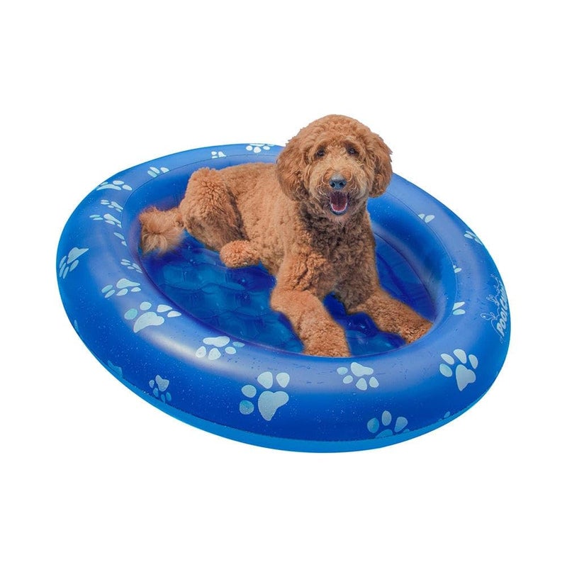 PoolCandy Inflatable Dog Pool Float Large Pet Raft for Dogs up to 100 lbs HeavyDuty PVC Comfortable Inflatable Floor 54 x 40 Paw Print Design - Image 2