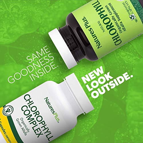 NaturesPlus Natures Plus Chlorophyll Complex 90 Capsules 600 mg of Organic Alfalfa Superfood Supplement Antioxidant Immune System Support Boost Energy Gluten Free 45 Servings - Image 5