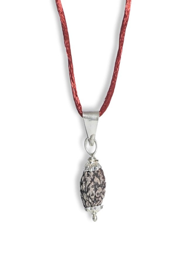 DEVAMA THE DIVINE 3 Mukhi Rudraksha Pendant with Lab Certification – Energized for Inner Power, Purification & Past Karma Release - Image 1