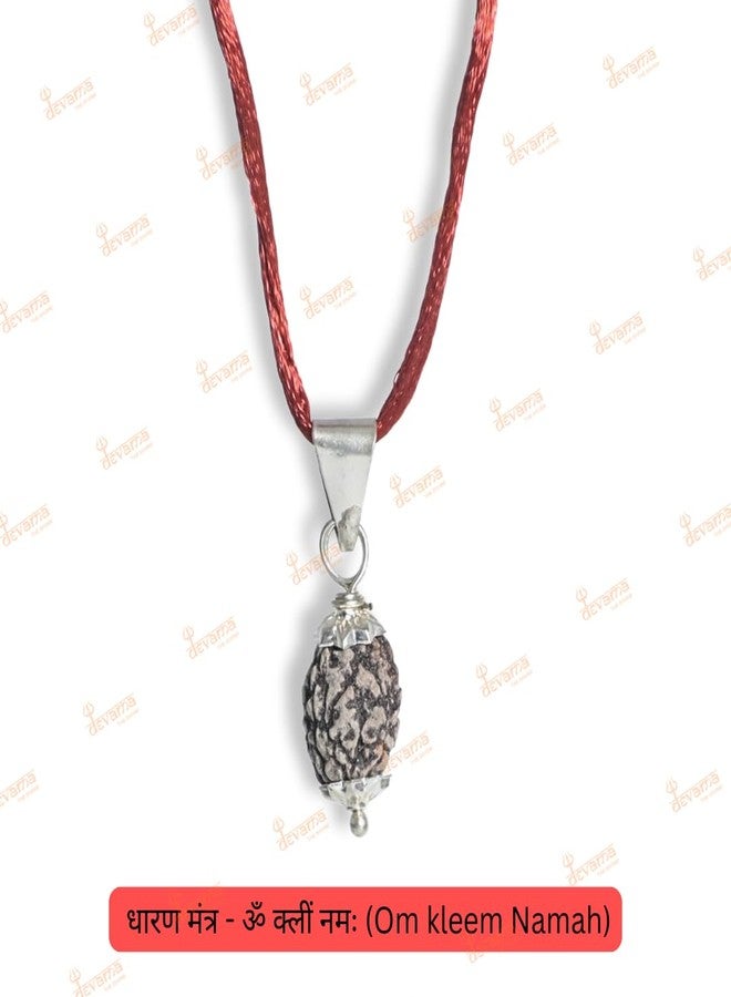 DEVAMA THE DIVINE 3 Mukhi Rudraksha Pendant with Lab Certification – Energized for Inner Power, Purification & Past Karma Release - Image 5