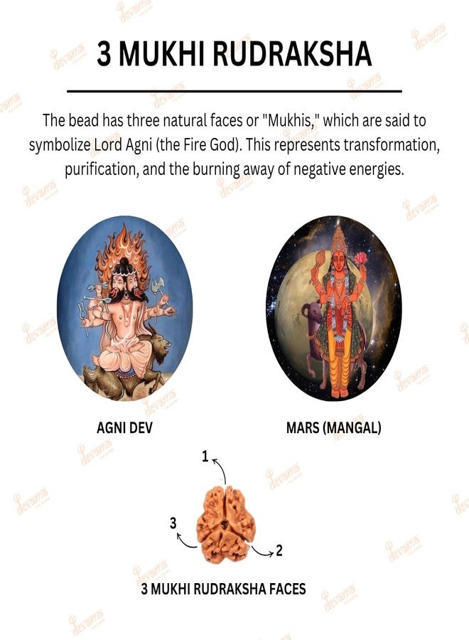 DEVAMA THE DIVINE 3 Mukhi Rudraksha Pendant with Lab Certification – Energized for Inner Power, Purification & Past Karma Release - Image 2