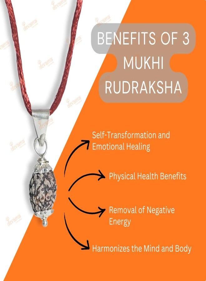 DEVAMA THE DIVINE 3 Mukhi Rudraksha Pendant with Lab Certification – Energized for Inner Power, Purification & Past Karma Release - Image 4