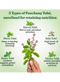 Kapiva Pure Tulsi drops 30ml  - Image 3
