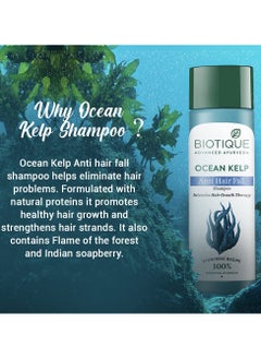 Ocean Kelp Anti Hairfall Shampoo Intensive Growth Therapy Shine 100 percent Botanical Extracts All Hair Types 120ml - pzsku/Z8559B822F9359475A30FZ/45/_/1740645293/423751c7-d36d-440b-b8fa-516b7689a388