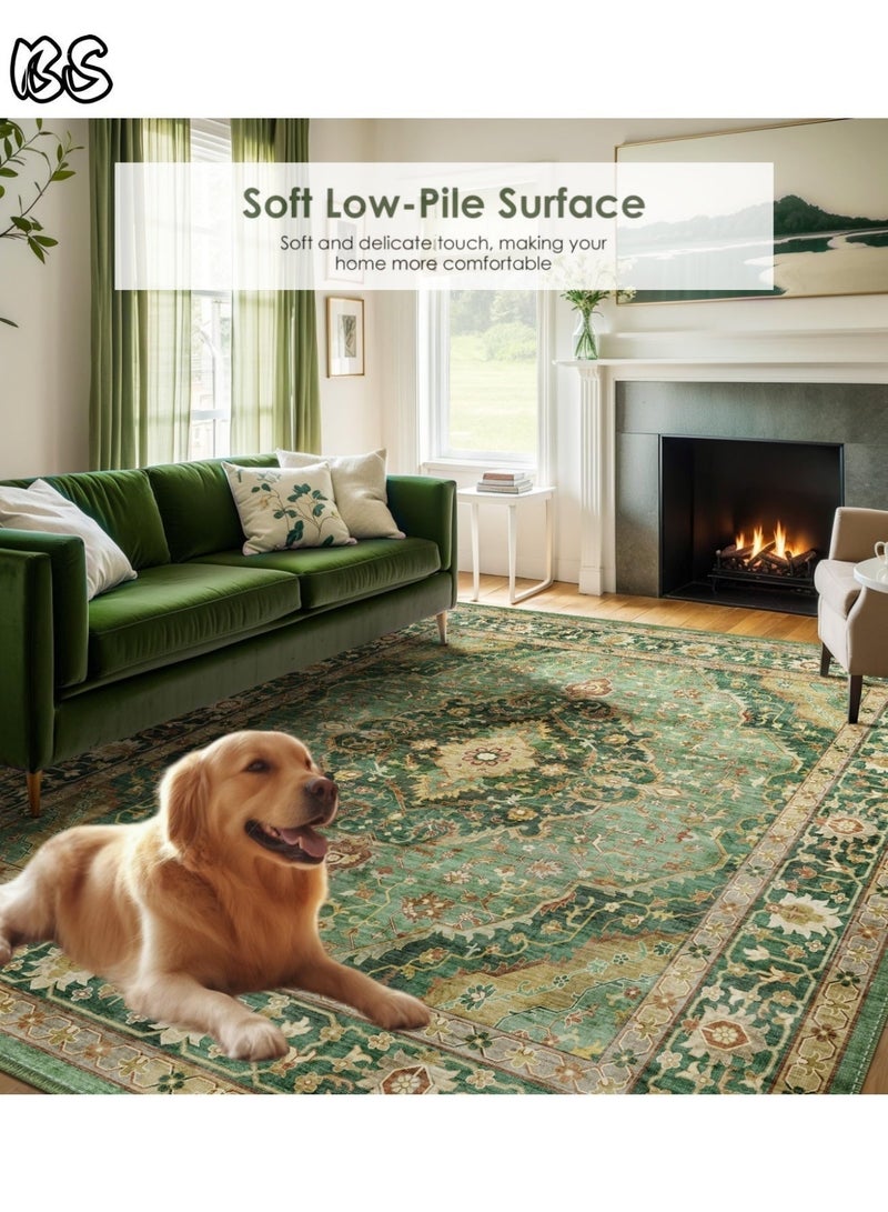 بي إس سجادة غرفة المعيشة الداخلية/التخييم الخارجية بتصميم بوهيمي عتيق مقاس 140×200 سم | قابلة للغسل، متينة، غير قابلة للانزلاق | سجادة داخلية ذات كومة قصيرة | ألوان زاهية | أنماط جميلة | كومة قصيرة ناعمة | مثالية للتخييم، والفناءات، وغرف المعيشة، وغرف النوم، وغرف الطعام، والمطابخ، والمداخل. - Image 5