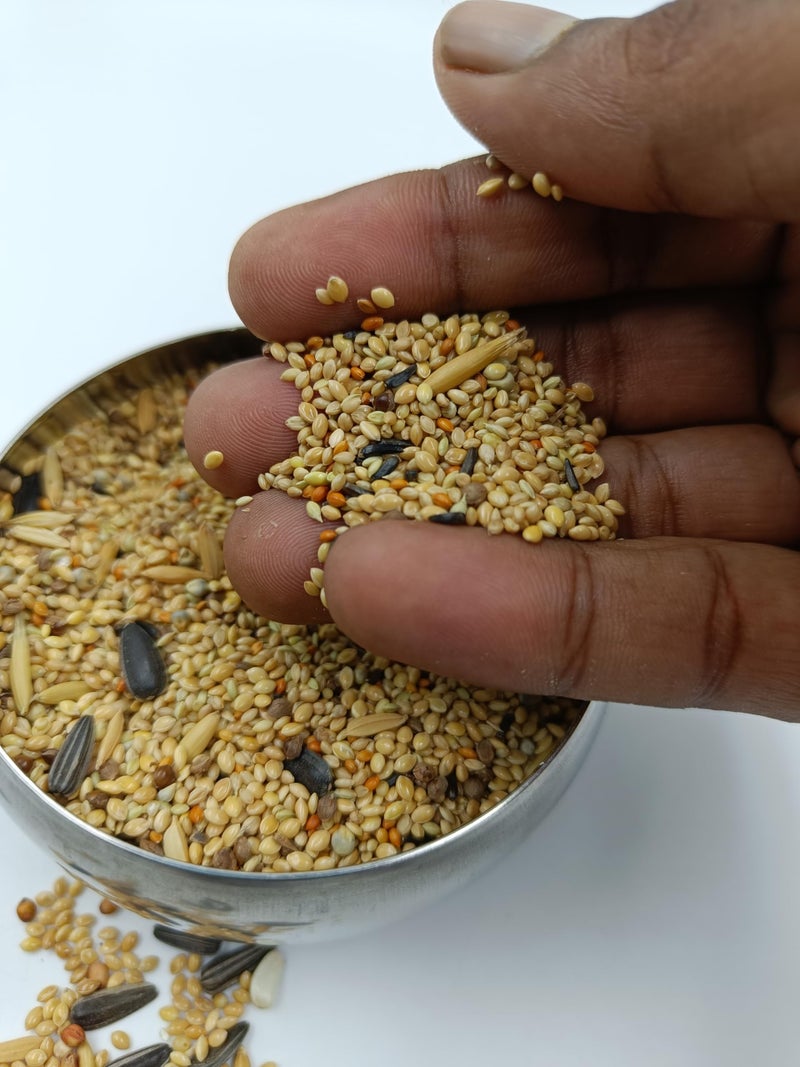 Omiyage بذور أومياغي® المميزة المختلطة للطيور الصغيرة - عبوة 500 جرام | غذاء طبيعي وصحي للكوكاتيل وطيور الحب، الفينش، طيور الحب، البودجي، طيور الجاوة | تركيبة لجميع المراحل | دعم جهاز المناعة - Image 2