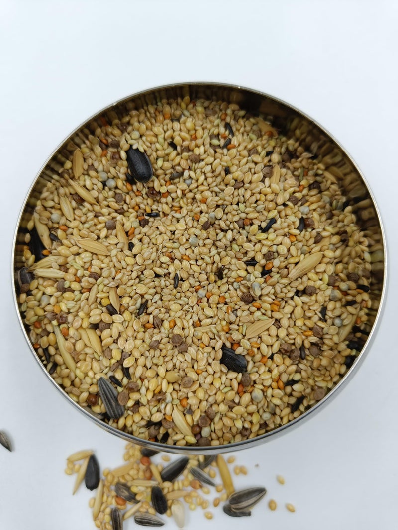 Omiyage بذور أومياغي® المميزة المختلطة للطيور الصغيرة - عبوة 500 جرام | غذاء طبيعي وصحي للكوكاتيل وطيور الحب، الفينش، طيور الحب، البودجي، طيور الجاوة | تركيبة لجميع المراحل | دعم جهاز المناعة - Image 1