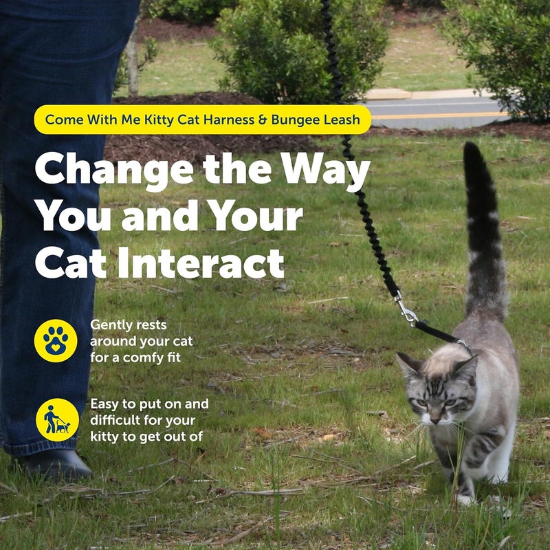 PetSafe حزام قطة تعال معي وحزام بونجي - حزام مريح بدون اختناق مع حزام بونجي خفيف الوزن للمتعة في الهواء الطلق - منع السحب الهروب - كبير - أزرق ملكي - Image 3